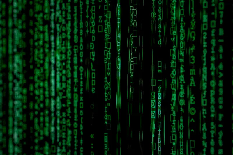 The Random String Hall of Fame: Celebrating the Internet's Most Cryptic Upload Links